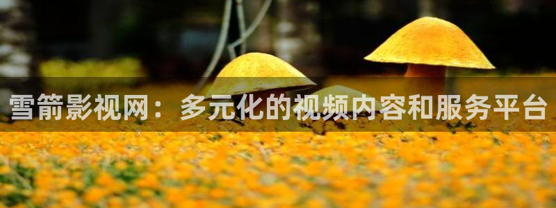 福利社午夜影院