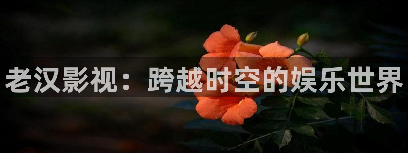 日本午夜电影大全