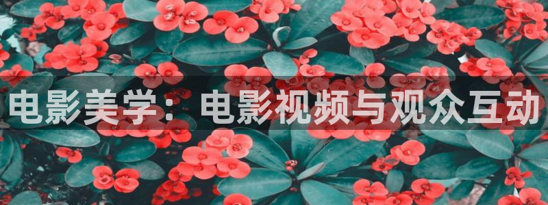 久久伊人午夜电影网