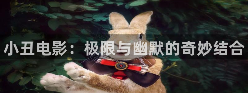 午夜理论电影