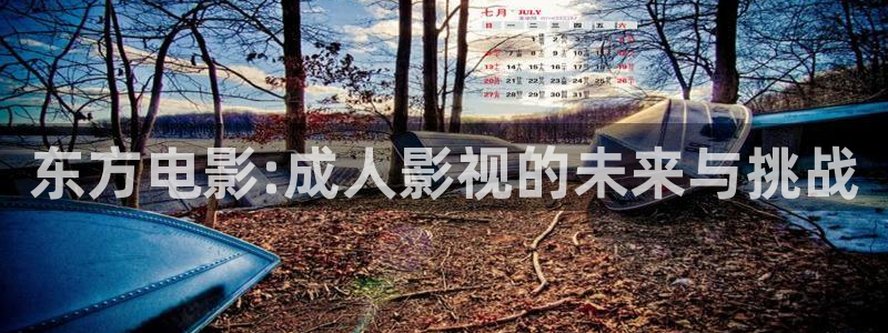 日韩午夜宅男影院