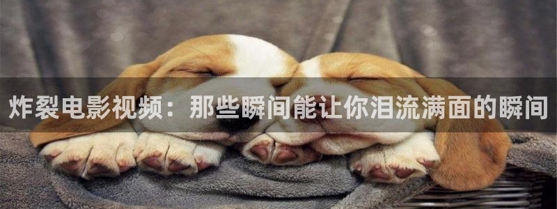 欧美午夜在线播放