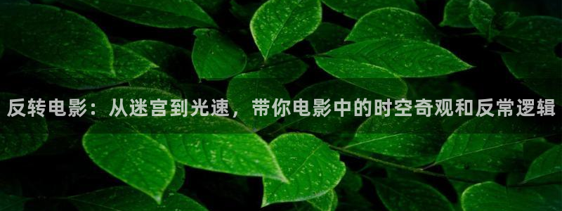 国产成人麻豆精品午夜在线
