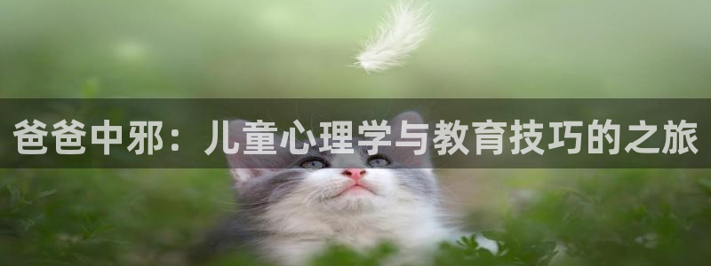 老湿机午夜电影