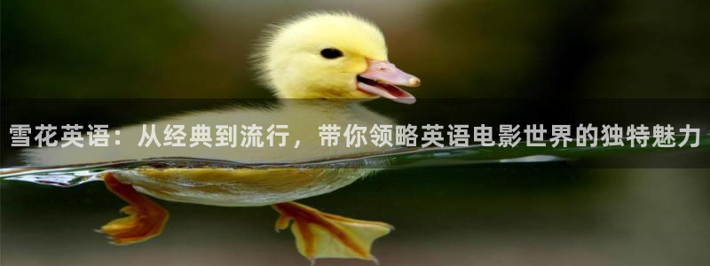 久草午夜在线视频