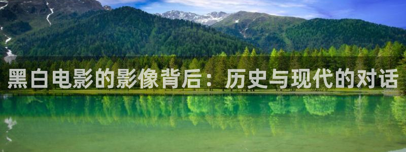 午夜高清片
