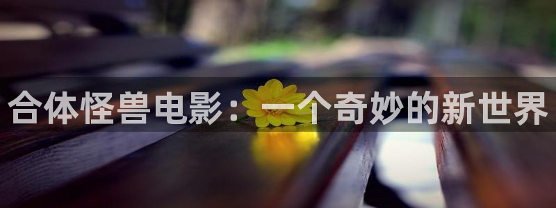 神马手机午夜电影网