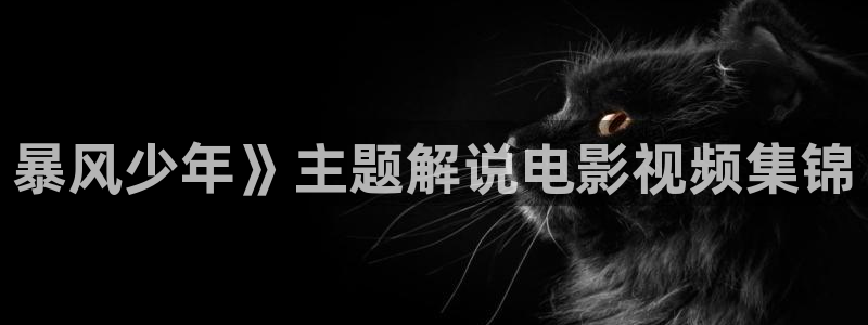 午夜电影午夜在线