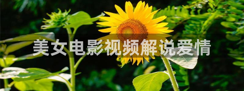 youjizzcom午夜影院