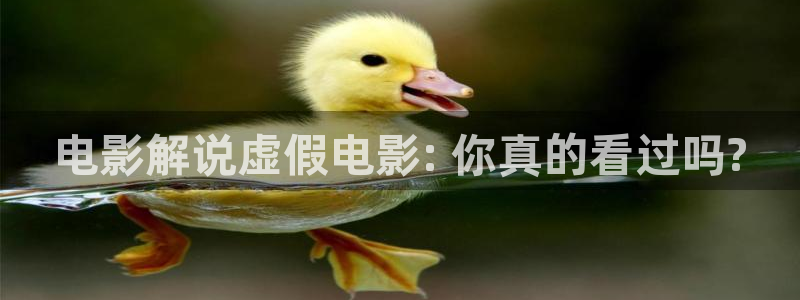 神马新午夜电影