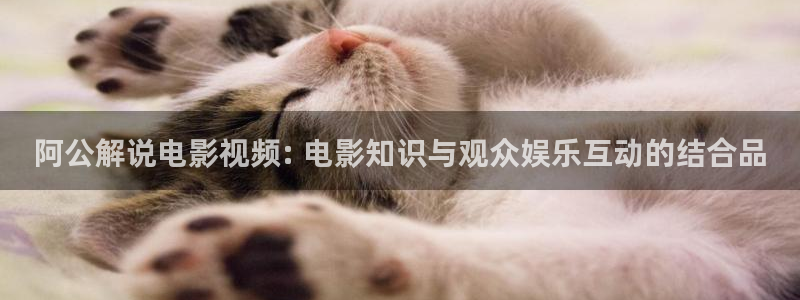 窝窝午夜爽片