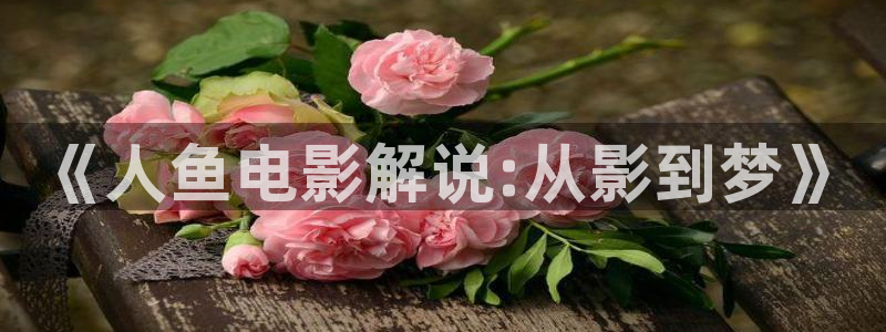 神马影院午夜片我不卡