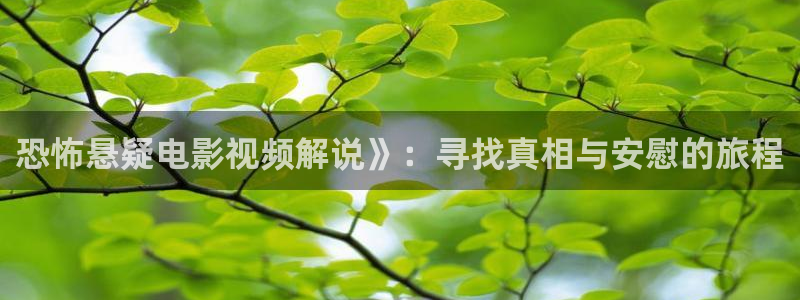 午夜神马片