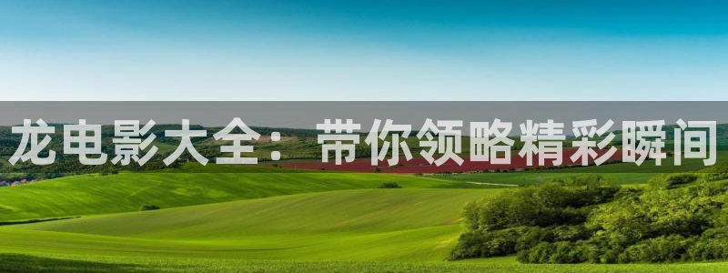 午夜老司机电影：龙电影大全：带你领略精彩瞬间
