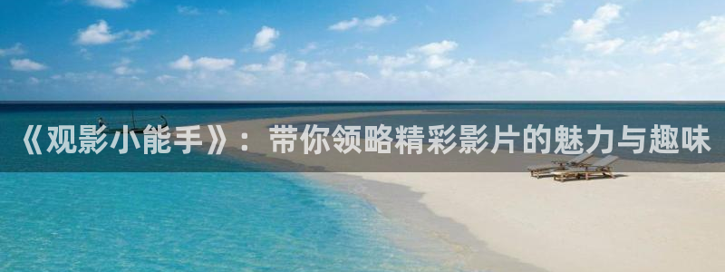 老光棍午夜电影：《观影小能手》：带你领略精彩影片的魅力与趣味