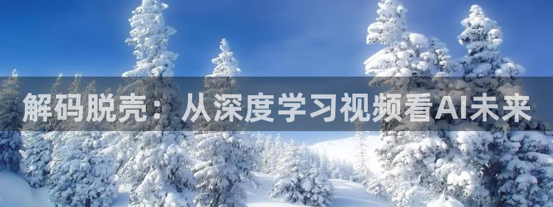成午夜影院：解码脱壳：从深度学习视频看AI未来