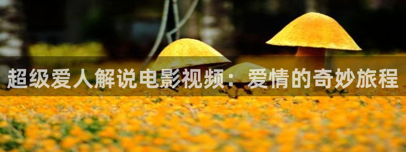 午夜水蜜桃视频：超级爱人解说电影视频：爱情的奇妙旅程
