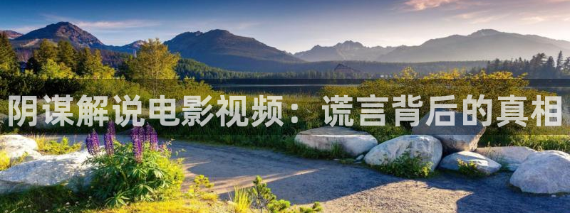 电影午夜免费版在线观看：阴谋解说电影视频：谎言背后的真相