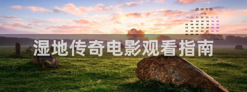 午夜精品久久久久久片：湿地传奇电影观看指南