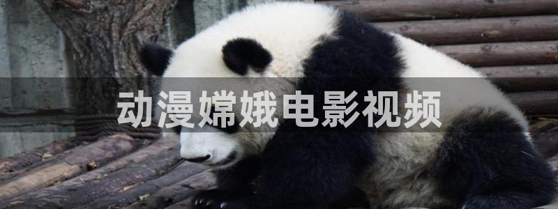 福利社 午夜影院：动漫嫦娥电影视频