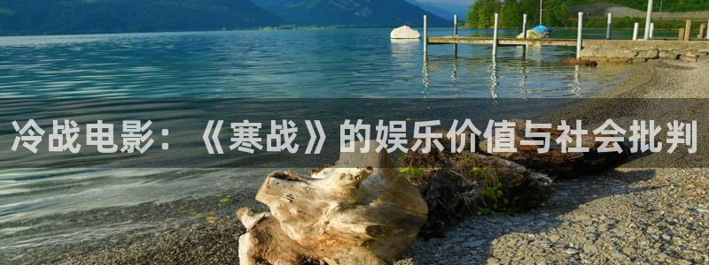 成·人午夜影视：冷战电影：《寒战》的娱乐价值与社会批判