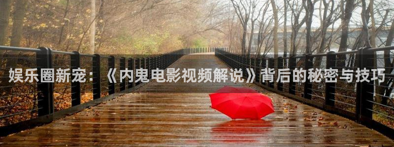 午夜免费观看视频网：娱乐圈新宠：《内鬼电影视频解说》背后的秘密与技巧