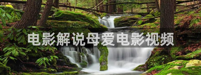 欧美午夜电影网址：电影解说母爱电影视频