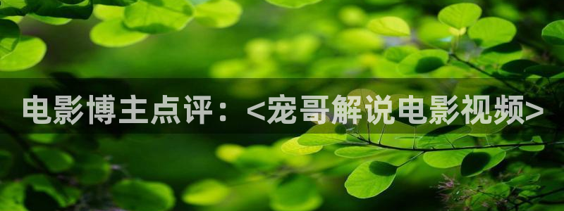 电视剧午夜蝴蝶在线观看：电影博主点评：<宠哥解说电影视频>