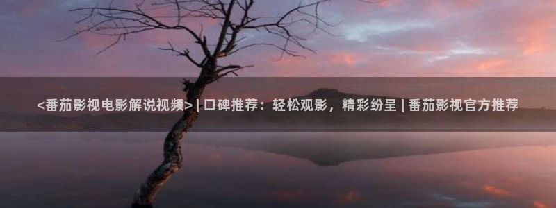 午夜片福利片：<番茄影视电影解说视频> | 口碑推荐：轻松观影，精彩纷呈 | 番茄影视官方推荐