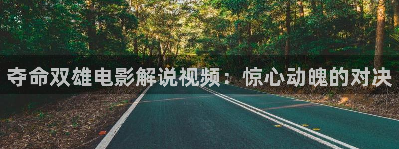 神马午夜我不卡：夺命双雄电影解说视频：惊心动魄的对决