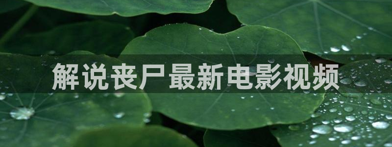 欧美午夜大片免费