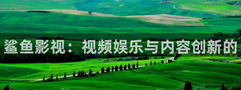 日本理论片午夜在线观看：鲨鱼影视：视频娱乐与内容创新的