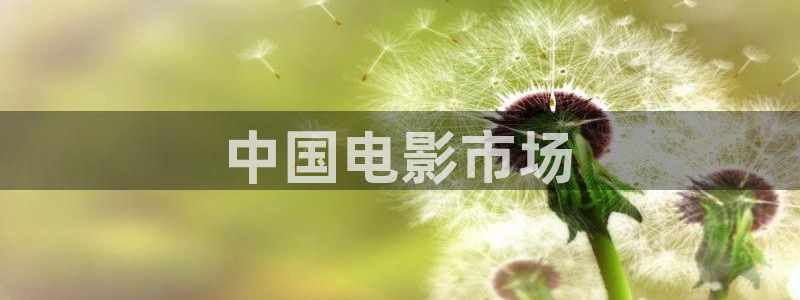 mm131午夜在线：中国电影市场