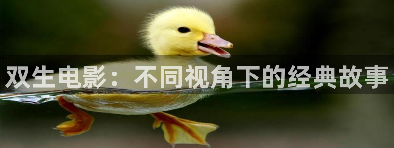 午夜av性：双生电影：不同视角下的经典故事