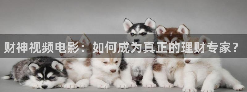 成人午夜电影高清：财神视频电影：如何成为真正的理财专家？