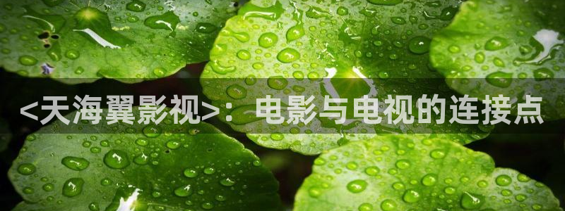国产午夜在线播放视频：<天海翼影视>：电影与电视的连接点