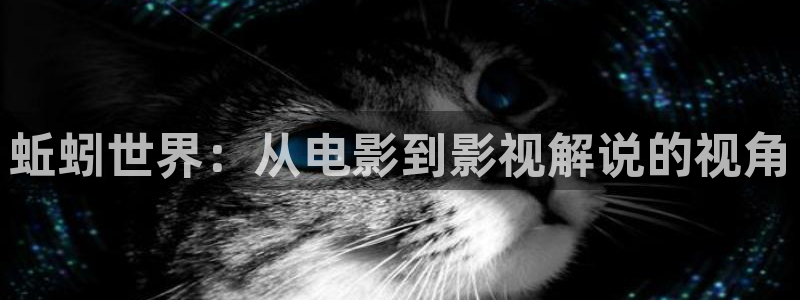 海外午夜在线视频：蚯蚓世界：从电影到影视解说的视角