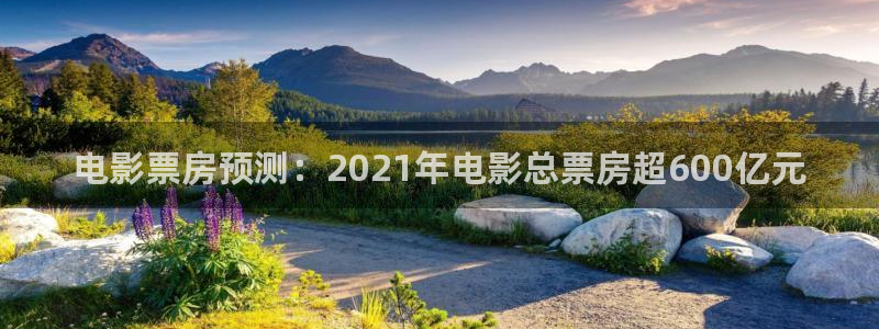 午夜影片在线观看：电影票房预测：2021年电影总票房超600亿元