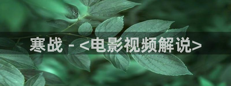 少女午夜影院：寒战 - <电影视频解说>