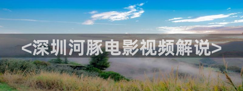 92成人午夜电影：<深圳河豚电影视频解说>