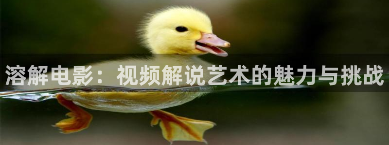 午夜公交车电影：溶解电影：视频解说艺术的魅力与挑战