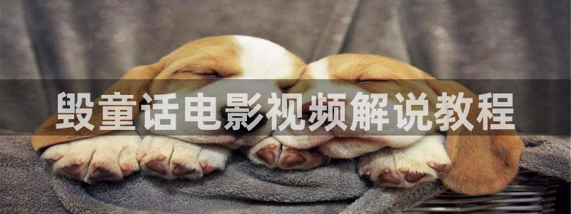 午夜好看的电影