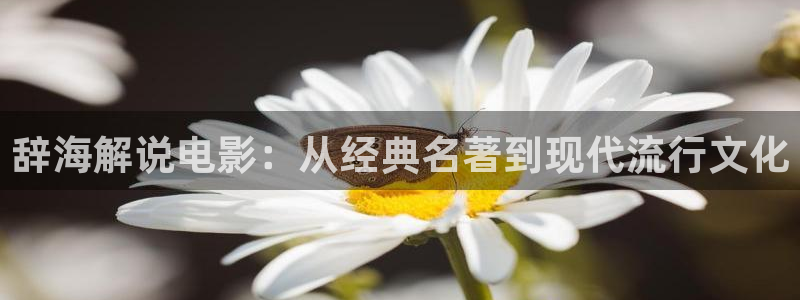 快播午夜在线观看
