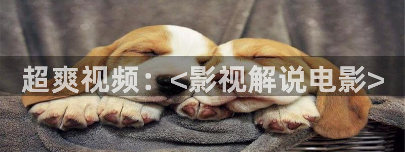 欧美成年人午夜电影