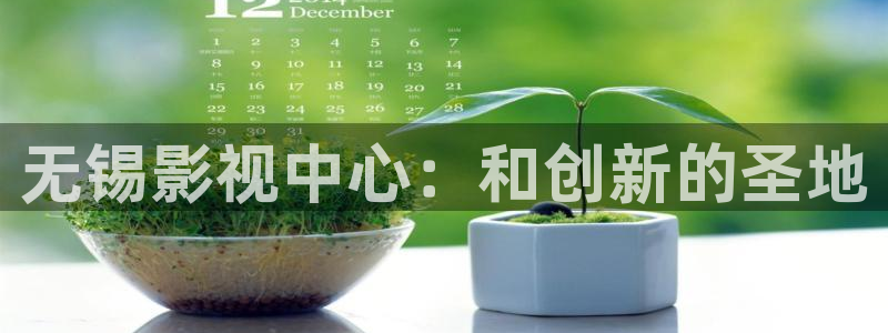 8050电影网午夜在线观看
