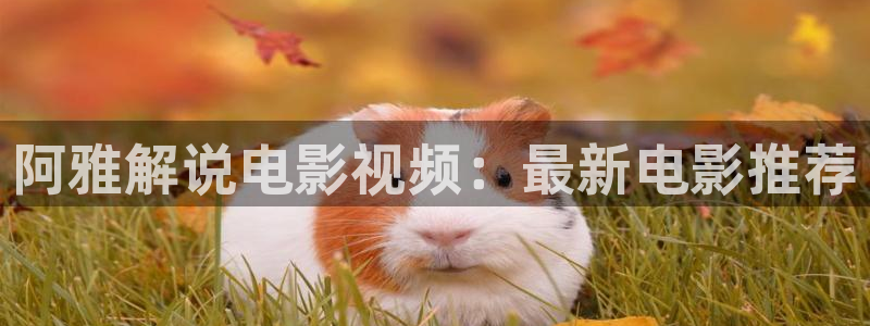 窝窝影视午夜