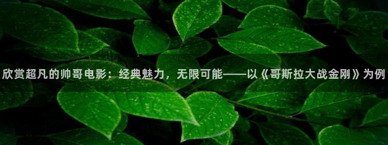 午夜插片免费
