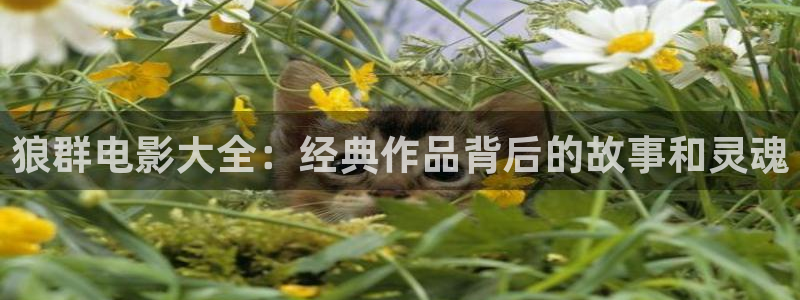 免费午夜电影下载