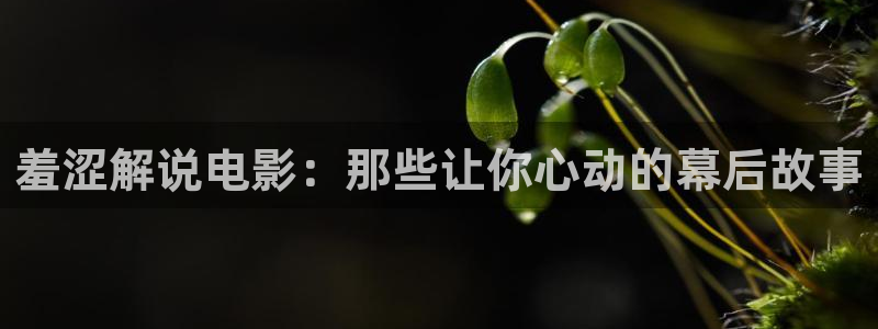 粉嫩av午夜