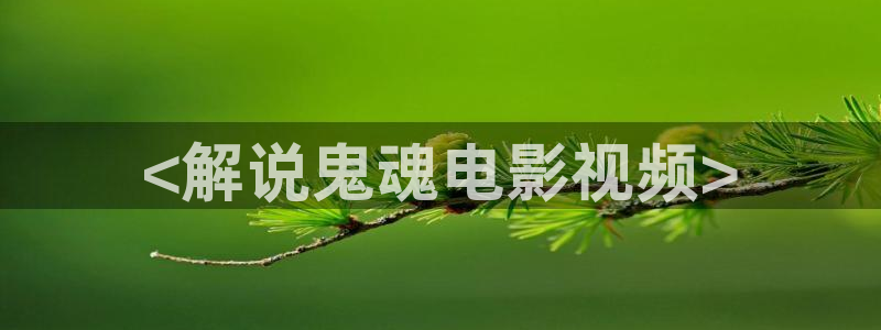yy4480午夜福利